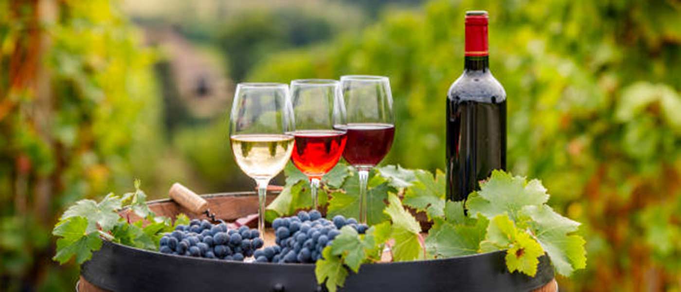 Between Florence & Rome: Discover Boutique Wineries, Olive Oil Producers & Unique Dining Experiences