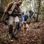 Truffle hunting in the forest with a dog