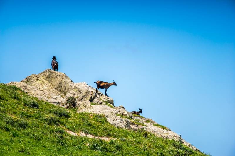 Godfather Tour Sicily with Italy Vacation Specialists 