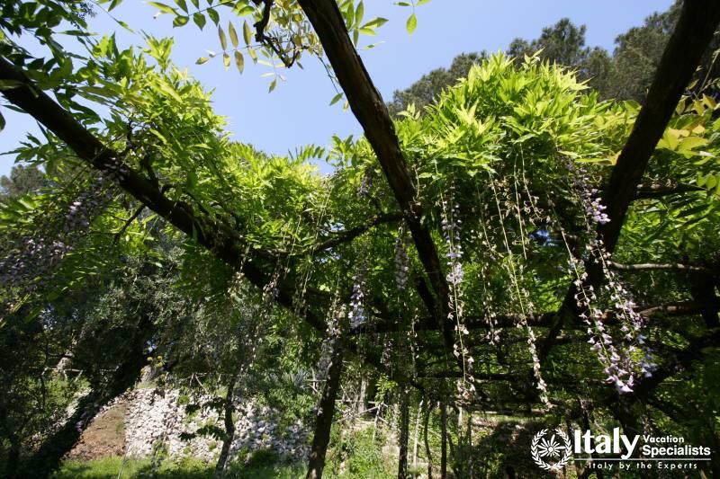  Italy Vacation Specialists 