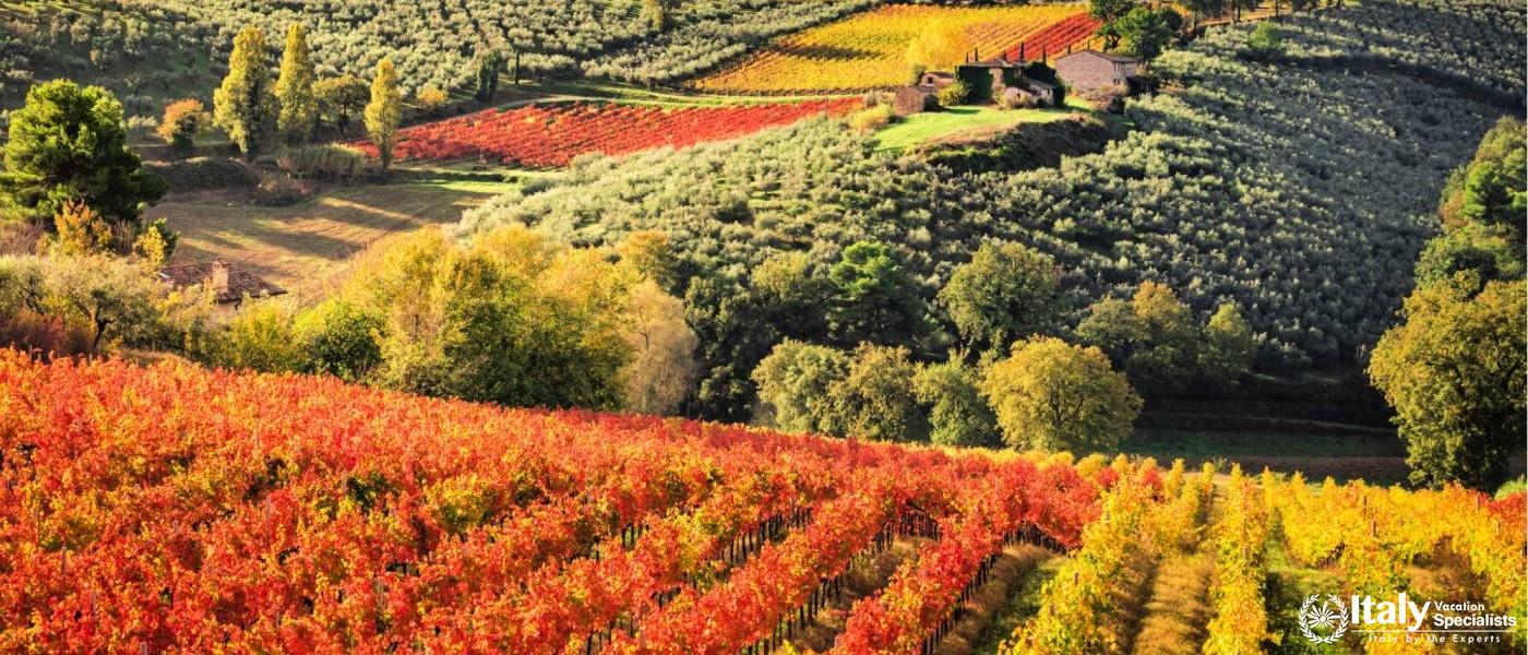 Wine Tours in Umbria with Italy Vacation Specialists 