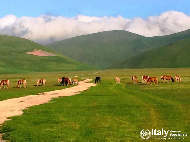 Castellucio Di Norcia 