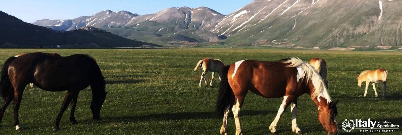 Unreal Castellucio Di NOrcia 