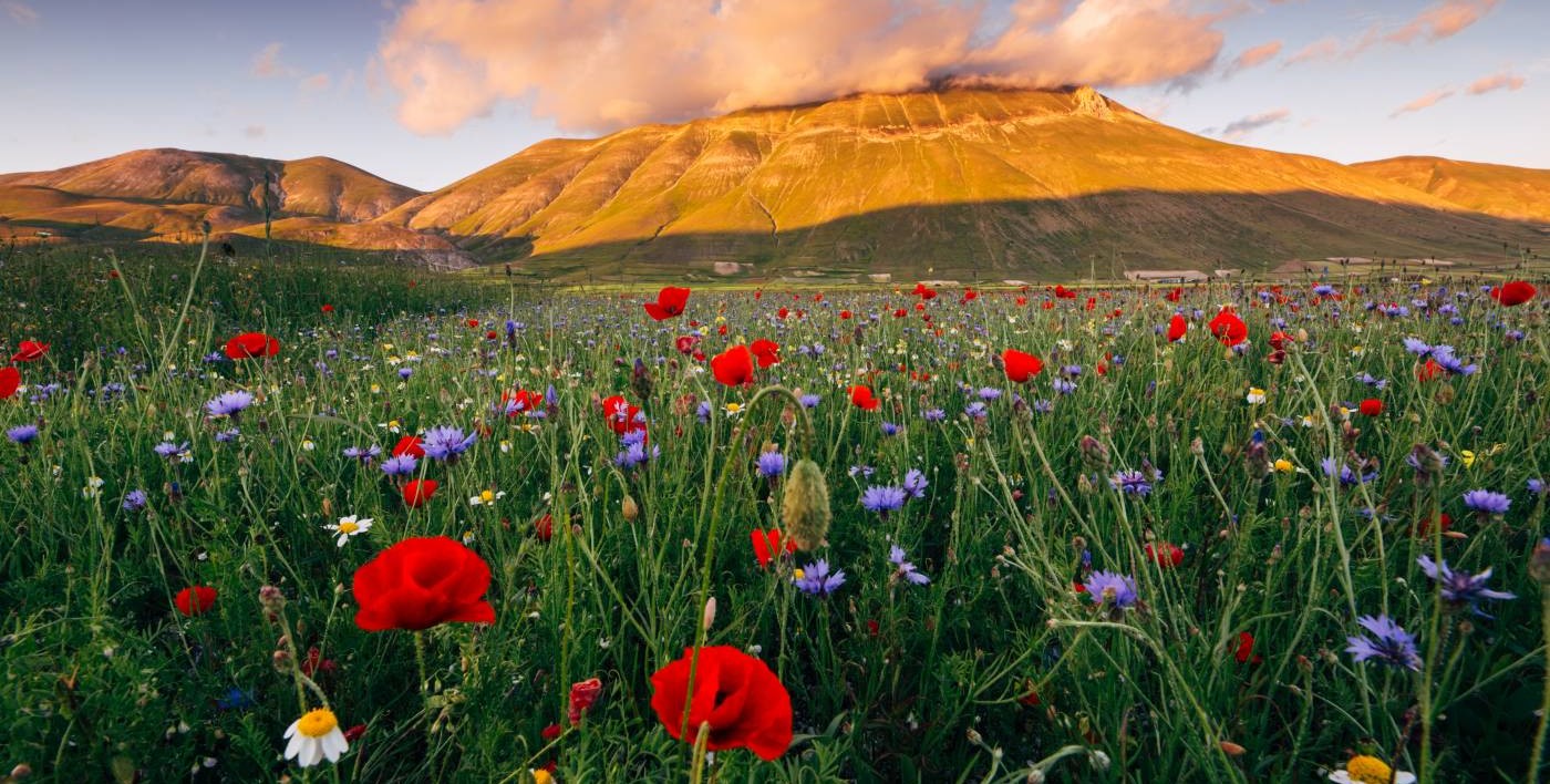 Castelluccio di Norcia Umbria Region Private Tours 