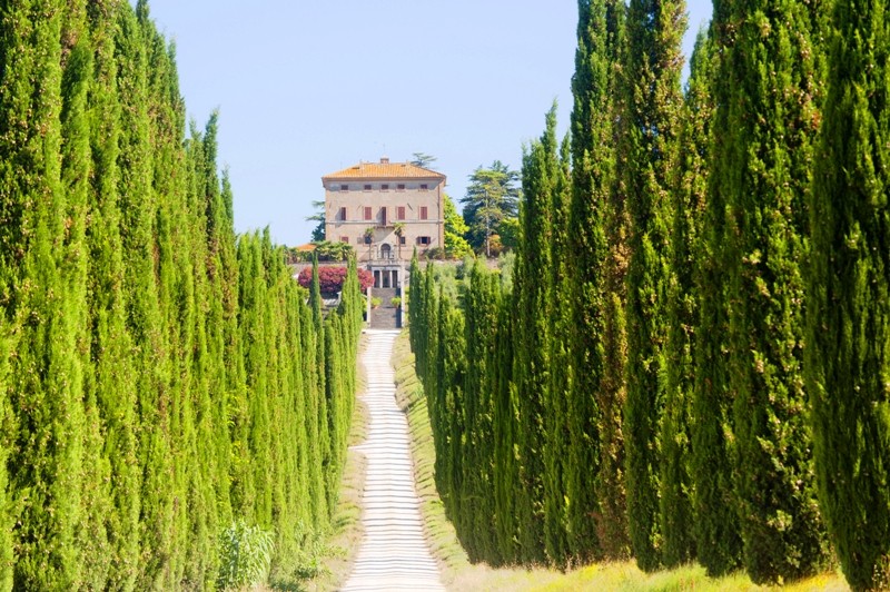 Beautiful Estate near Amelia, Umbria