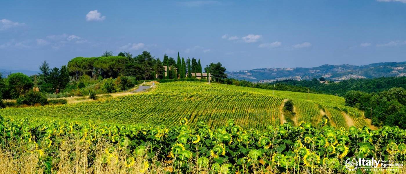 Umbria Private Drivers and Guides 