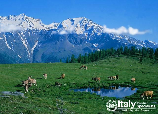 Experience the beautiful mountains of Sondrio