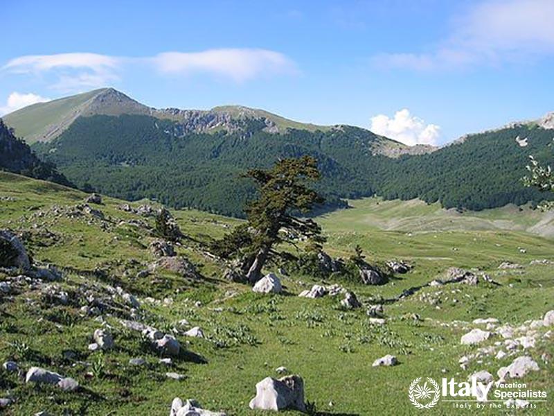 amaing mountains in Parco Pollino natioal park in Calabria mountains