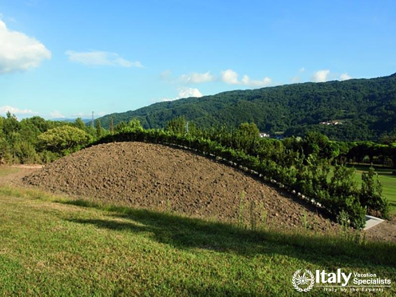 Greenery in Parco Pollino natioal park in Calabria mountains