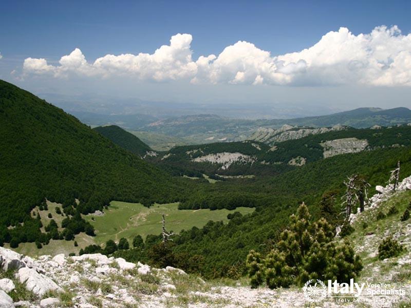 Beautiful park in Calabria mountains