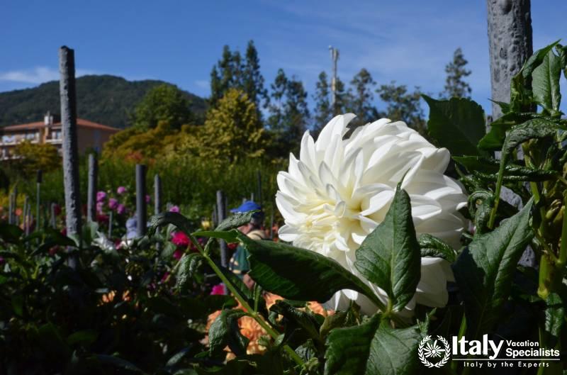 Garden Tours Italy 