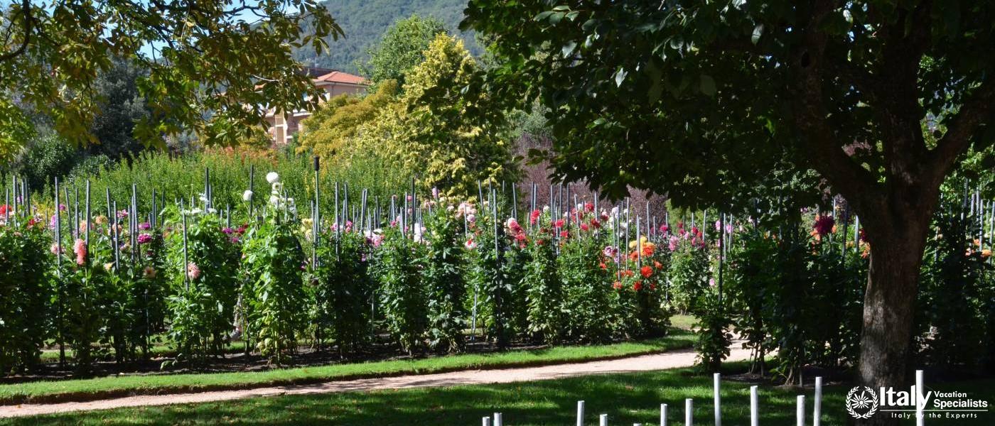 Villa Taranto Lago Maggiore 