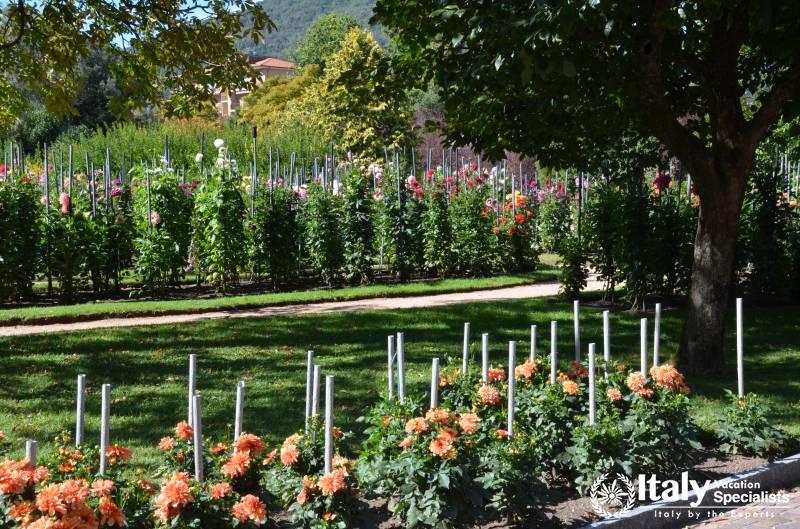 Villa Taranto Garden Tours 