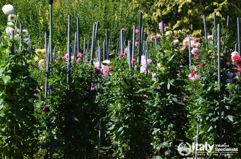 Villa Taranto Garden Tours 