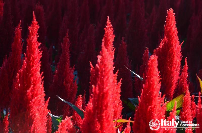 Inside Villa Taranto Italy 