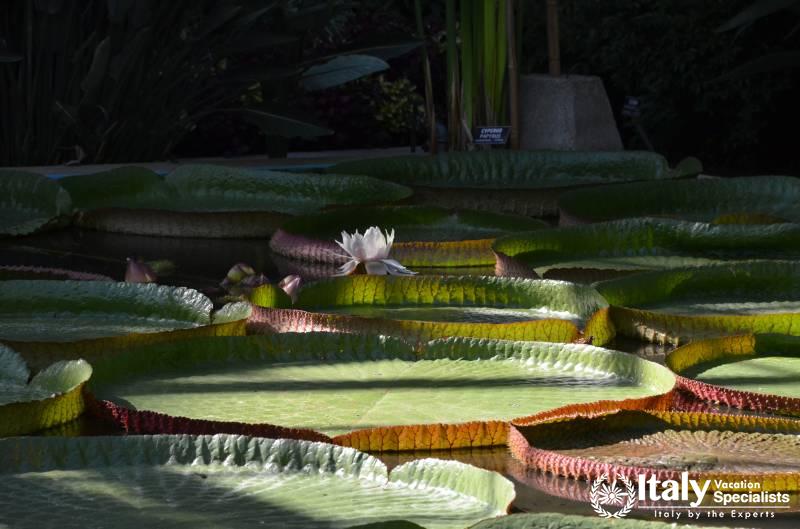 Inside Villa Taranto Italy 