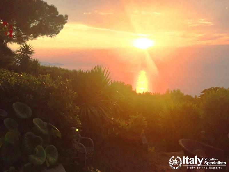 Beautiful Plant Life as Seen at Porto Santo Stefano, Monte Argentario