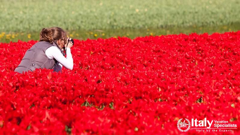 Monte Sibillini National Park, Italy 