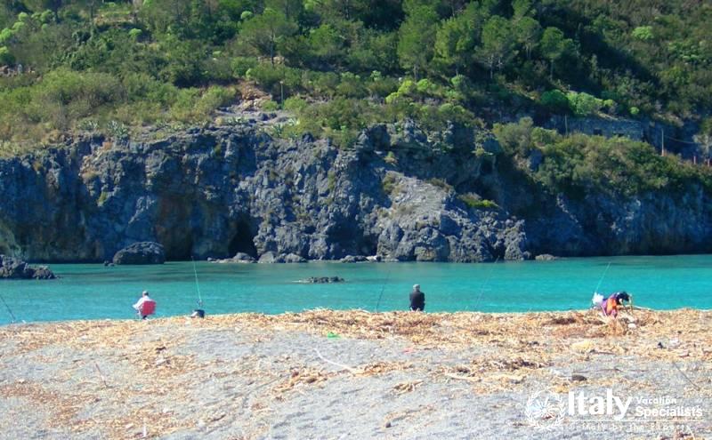 Boat Tours Dino Island Cave Grottoes