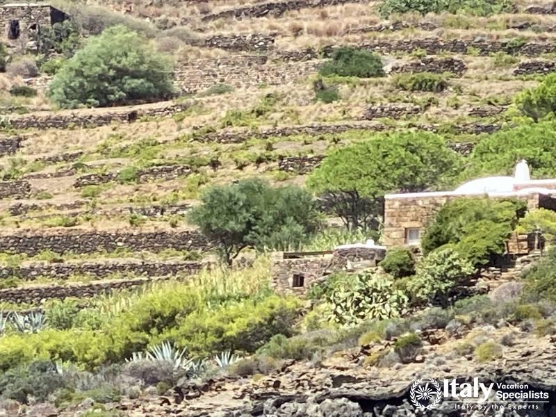 Visit Pantelleria island with local driver 