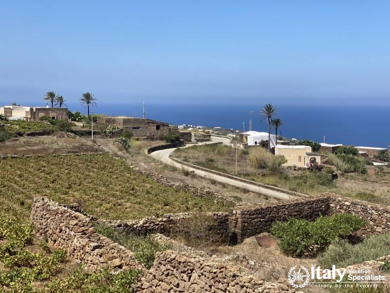 Guided Tours Pantelleria Island 