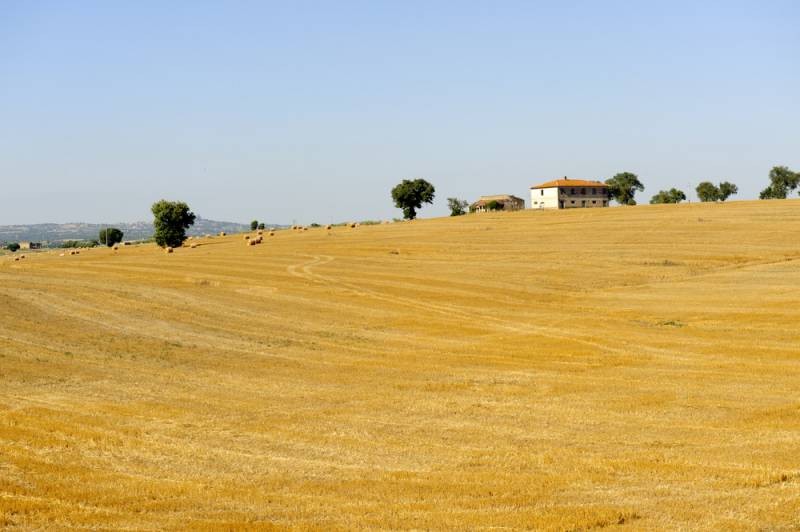 Lazio summer landscape near Viterbo: farm house