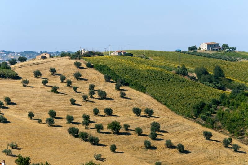 Atri Natural Park (Teramo, Abruzzi, Italy), landscape at summer