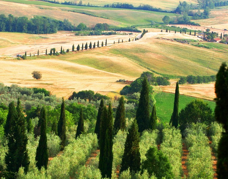 View from Pienza over Orcia Valley Tuscany 