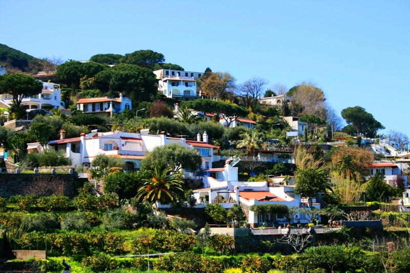 Private Tour of Ischia with local driver