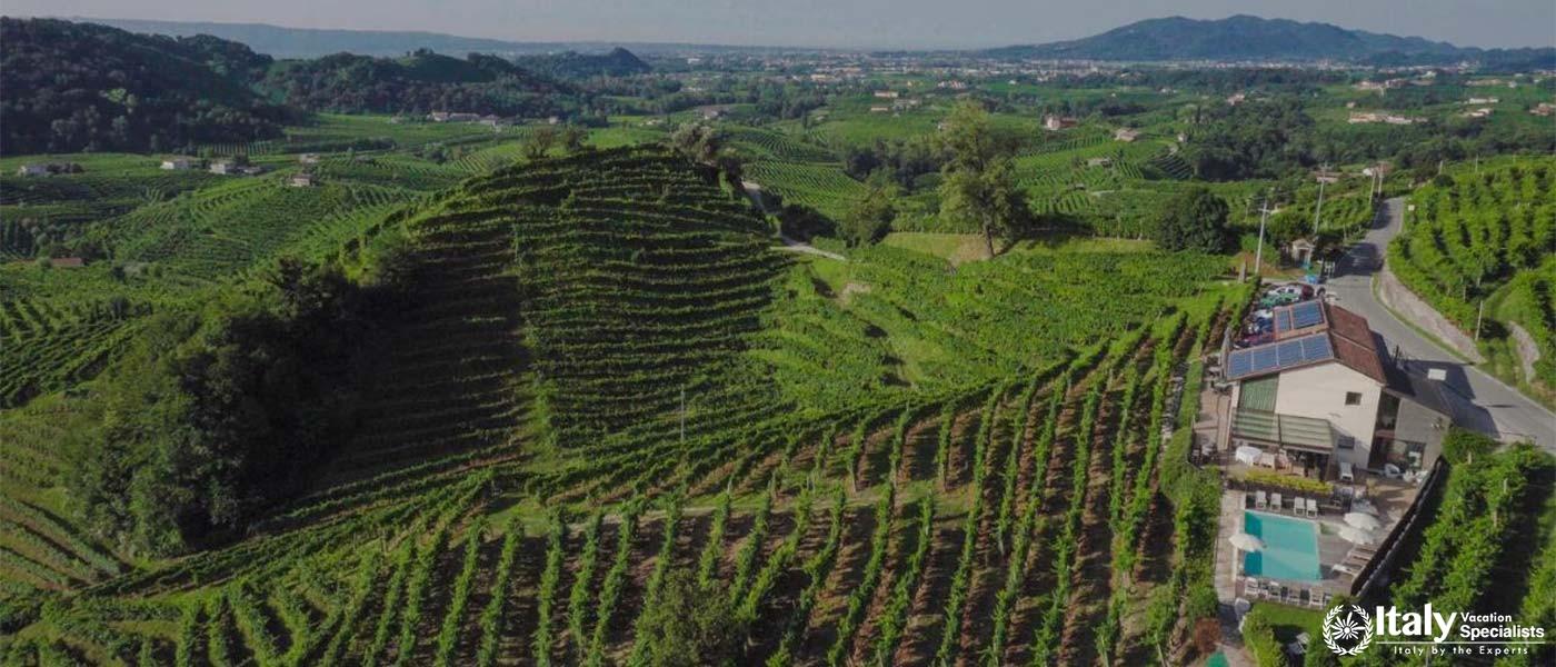 Vineyard Landscape Surrounding Agriturismo Due Carpini in Valdobbiadene, Italy