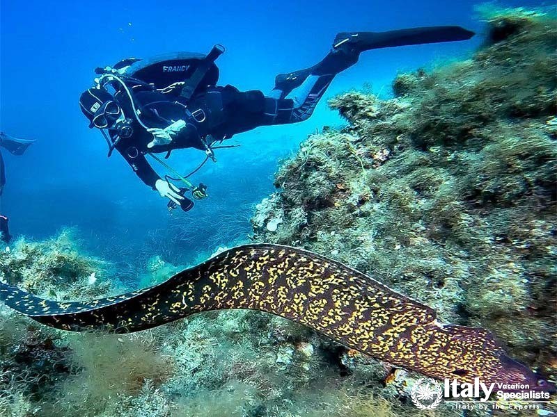 3182-2da99ef85ad4b99f78b4d0a04838f3b3