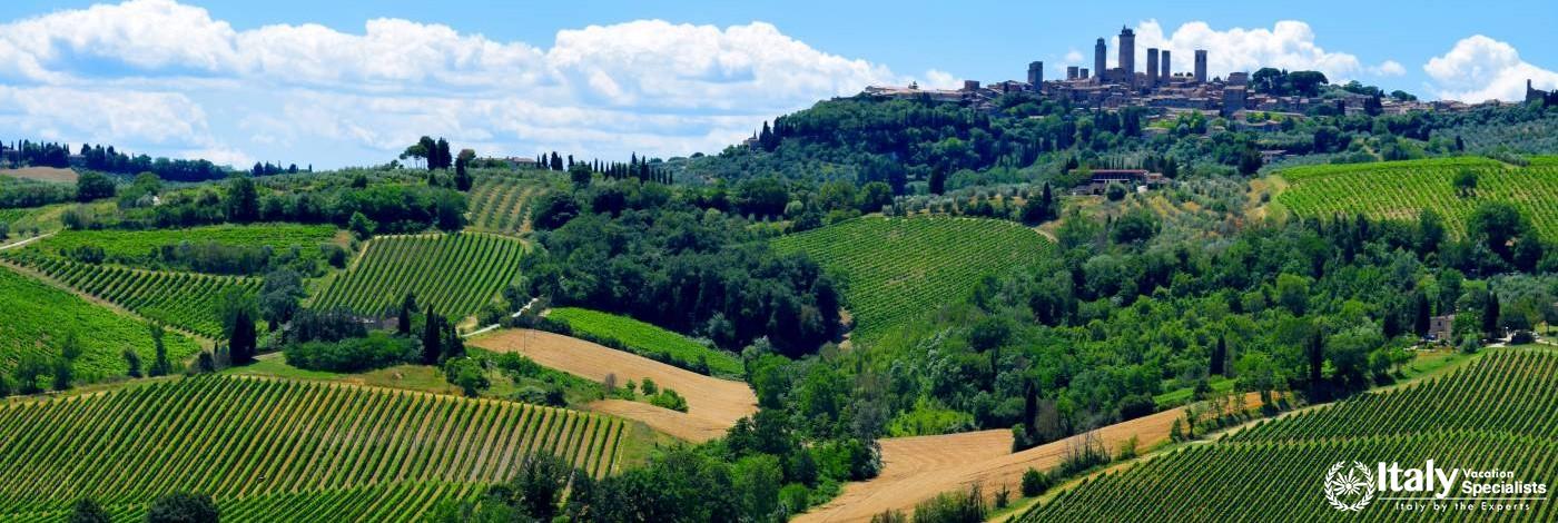 Hill Top Town of San Gimignano 