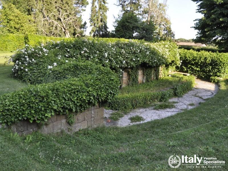 Lush garden with an ivy-covered structure.