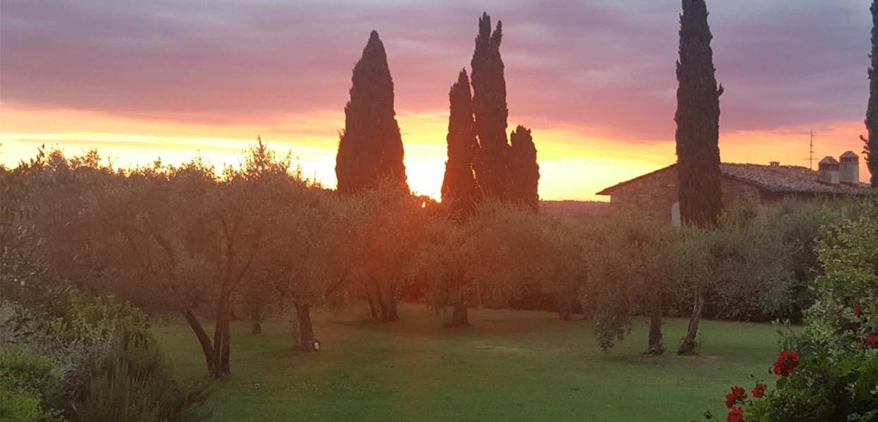 Beautiful view of Villa 