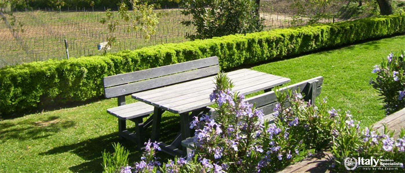 A peaceful garden setting with a bench overlooking a vineyard.