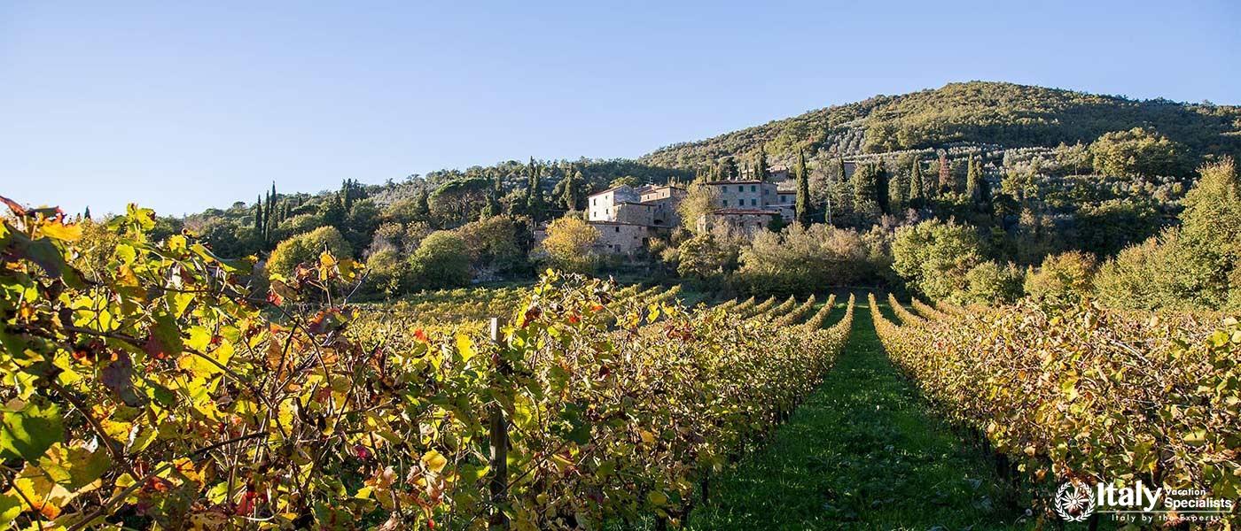  Scenic view of surrounding vineyards and hills in Tuscany.