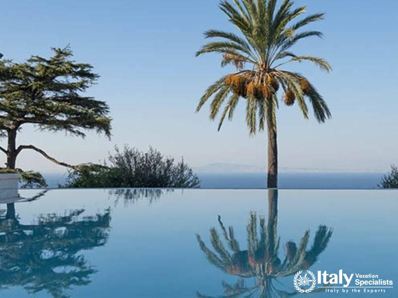 Infinity pool reflecting palm trees and the sky.