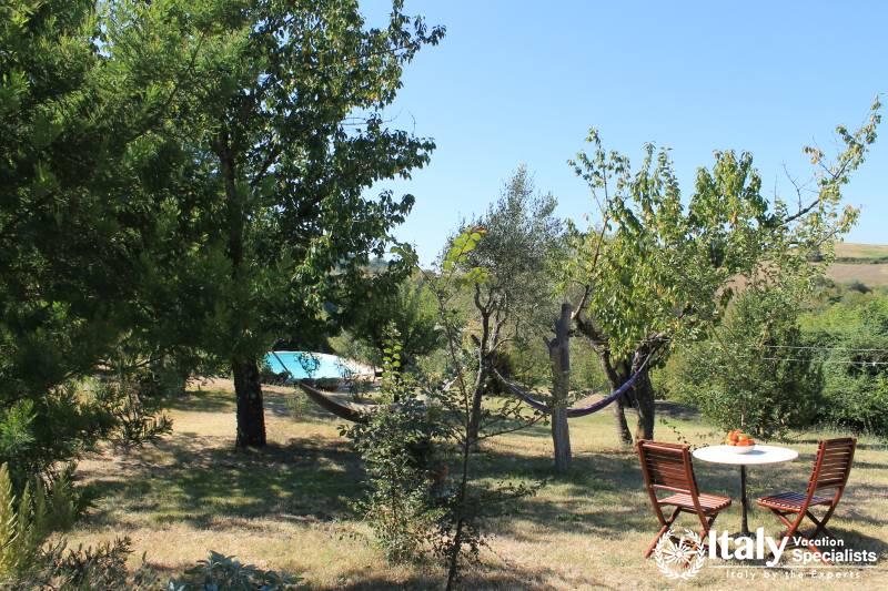 Villas with Olive Orchards in Italy - Umbria Region 