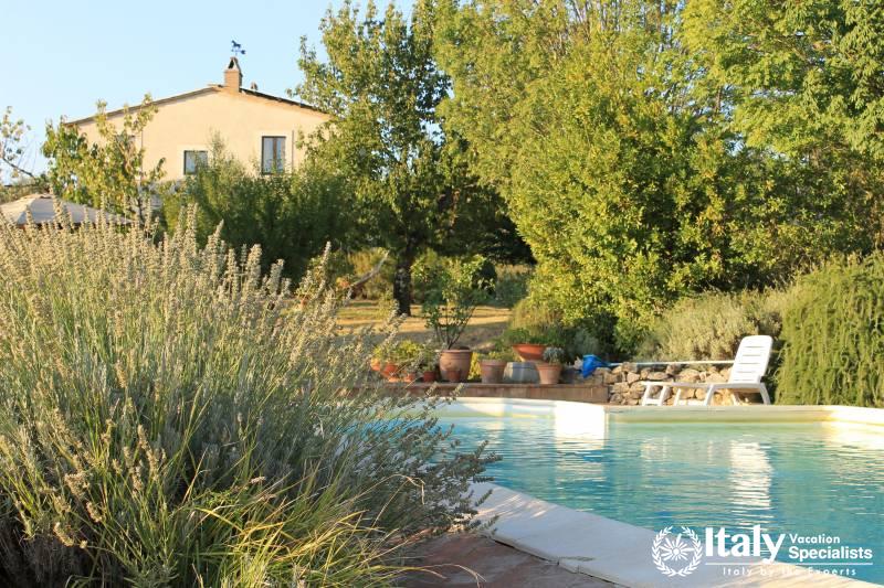 View over Olive Orchards