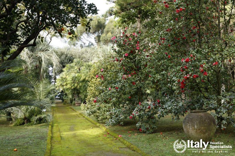 Garden in Villa Magia