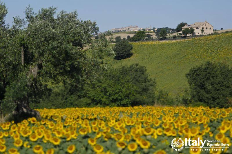 Marche villa region le March 