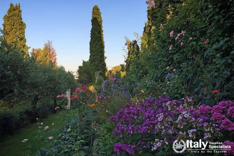 Greenery in Bella Vista Villa