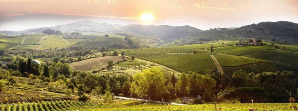 Vineyards as seen from Il Querceto in Castellina in Chianti, Tuscany, Italy 