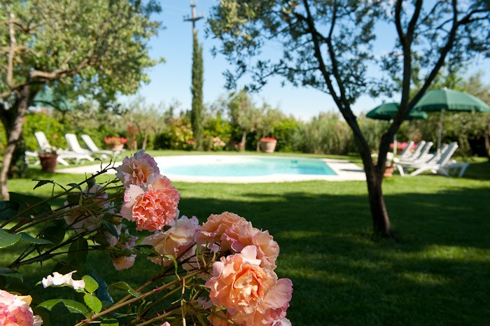 Villa Casavecchia Swimming Pool 