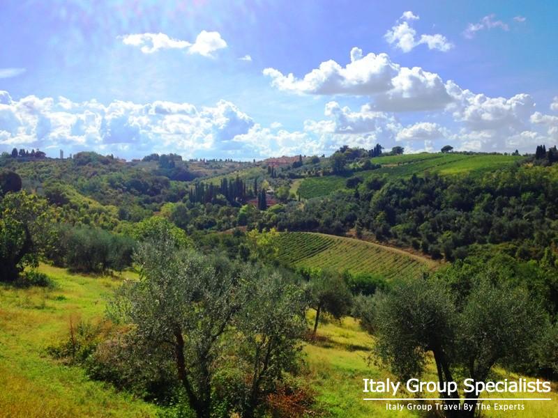 Olive Groves and Vineyards as seen from the Villa Casavecchia Estate, Tuscany, Italy - Photo by Jess