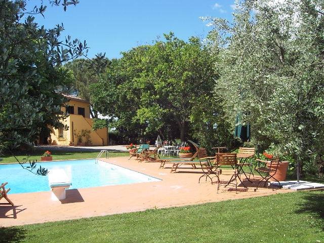 Swimming pool and garden