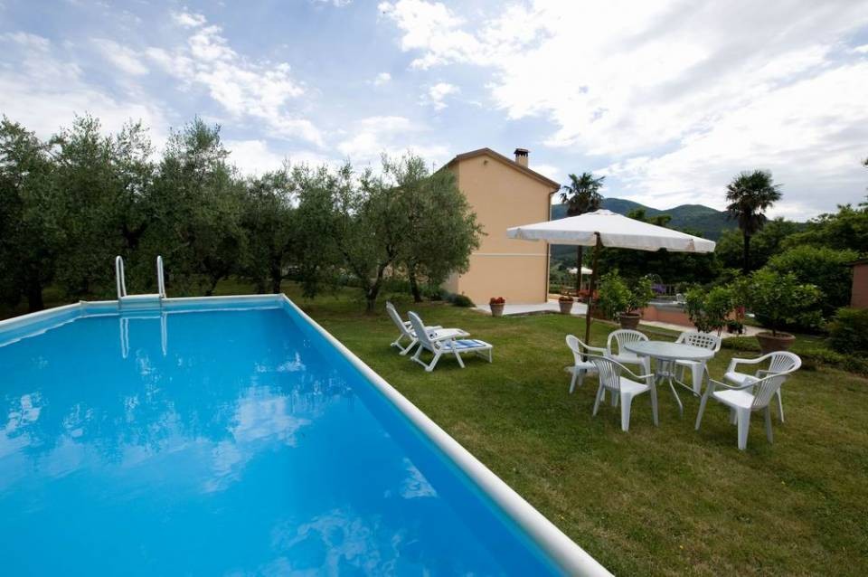 Swimming pool and garden