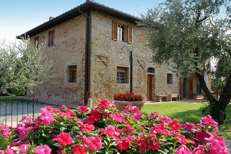 flower and olive trees