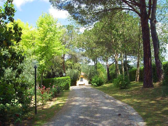 Exclusive entrance allee