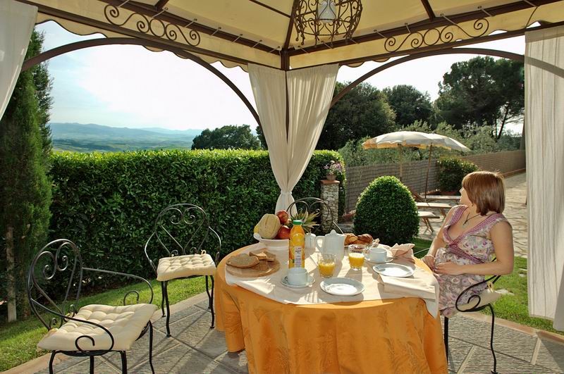 gazebo in the garden